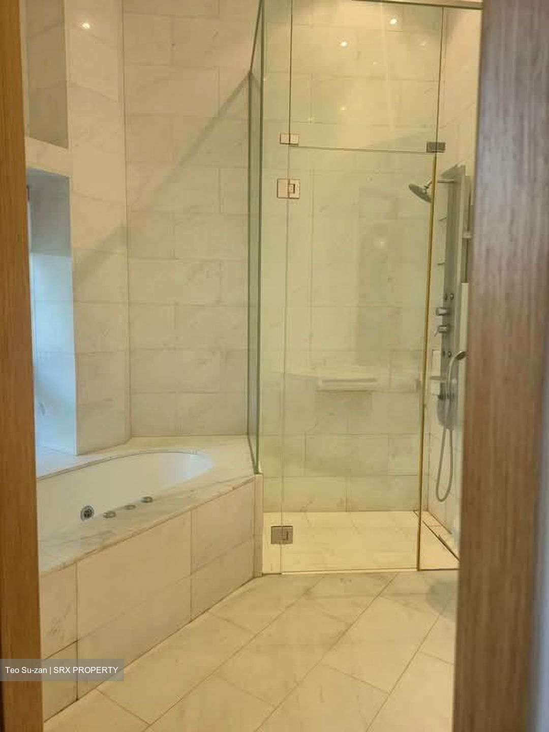 Belle Vue Residences (D9), Condominium #551315821